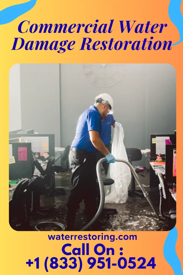 Commercial Water Damage Restoration in Burlington, WA