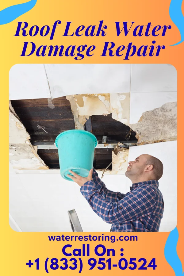 Roof Leak Water Damage Repair in Burlington, WA