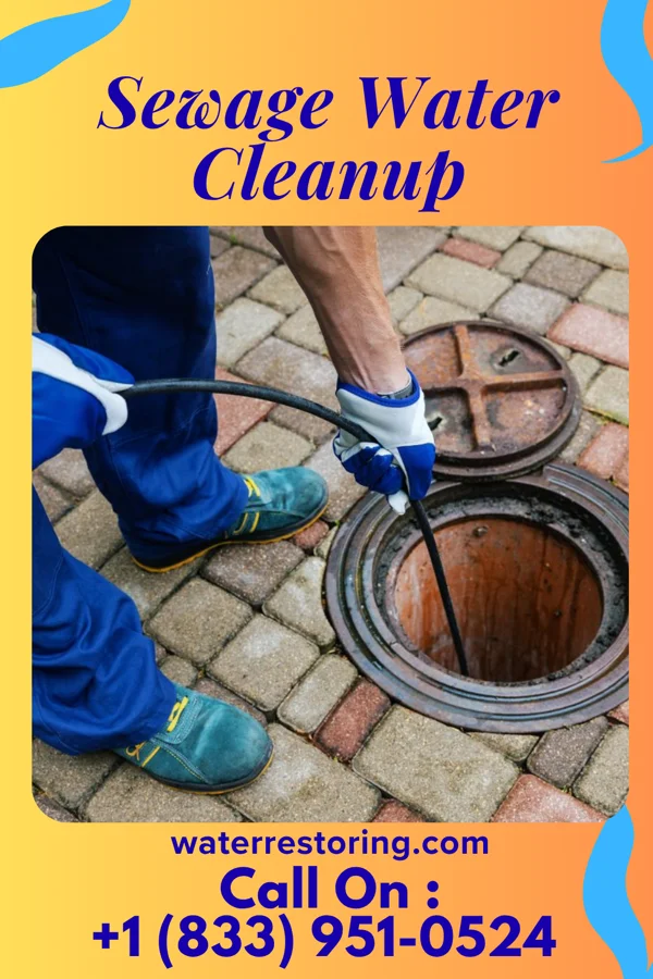 Sewage Water Cleanup in Burlington, WA