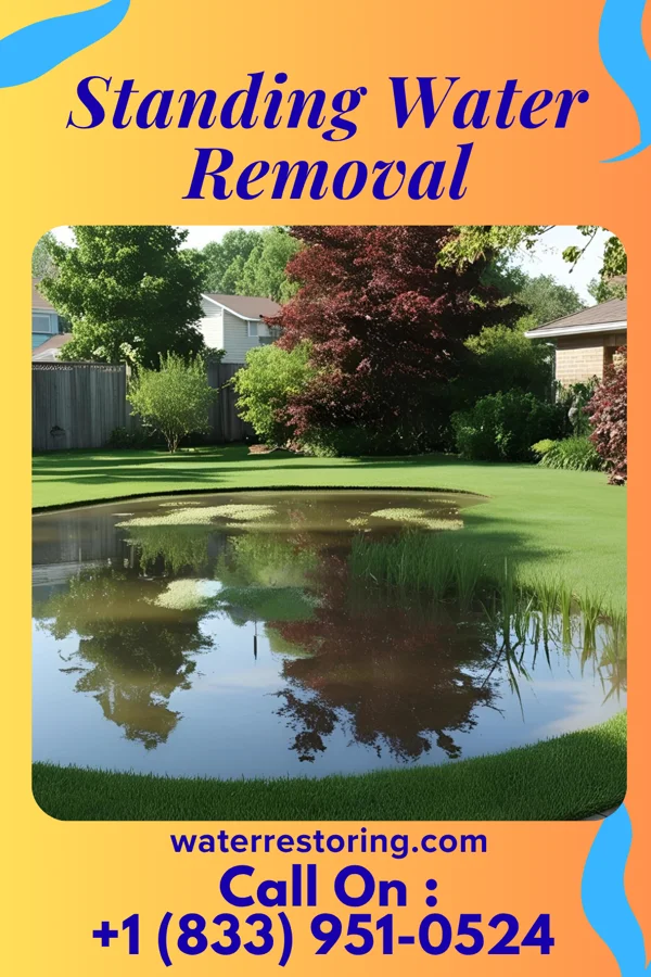 Standing Water Removal in Burlington, WA